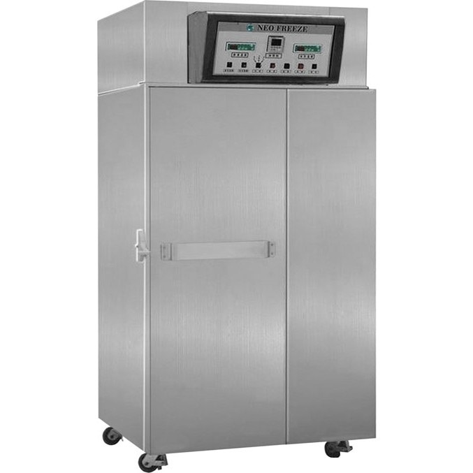 Desmon GBF15 Stainless Steel Commercial Blast Chiller And Shock